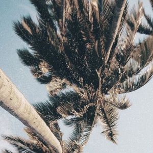 Meet your Posher, Claire